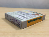 UE9055 Super Mario Land BOXED GameBoy Game Boy Japan