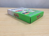 UE9087 Dragon Quest Monsters 2 Ruka BOXED GameBoy Game Boy Japan