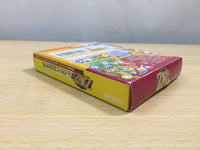 UE9100 The Legend of Zelda Oracle of Seasons BOXED GameBoy Game Boy Japan