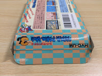 UE9128 Super Mario Bros. 3 BOXED NES Famicom Japan