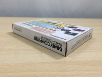 UE9131 Dr. Mario BOXED NES Famicom Japan