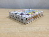 UE9131 Dr. Mario BOXED NES Famicom Japan