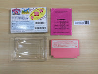 UE9135 Kirby Kirby's Adventure BOXED NES Famicom Japan