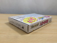UE9135 Kirby Kirby's Adventure BOXED NES Famicom Japan