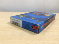 UE9141 Faxanadu BOXED NES Famicom Japan