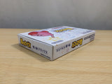 UE9210 Kirby Nightmare in Dream Land BOXED GameBoy Advance Japan