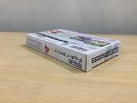 UE9210 Kirby Nightmare in Dream Land BOXED GameBoy Advance Japan