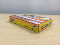 UE9217 Dragon Ball Z The Legacy of Goku II 2 BOXED GameBoy Advance Japan