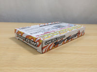UE9218 Fire Pro Wrestling A BOXED GameBoy Advance Japan