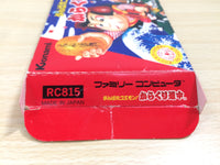 UE9232 Ganbare Goemon Karakuri Dochu Mystical Ninja BOXED NES Famicom Japan