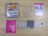 UE9324 Kirby Block Ball BOXED GameBoy Game Boy Japan