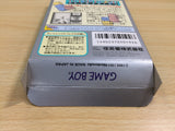 UE9325 Tetris Flash BOXED GameBoy Game Boy Japan