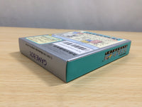 UE9325 Tetris Flash BOXED GameBoy Game Boy Japan