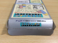 UE9325 Tetris Flash BOXED GameBoy Game Boy Japan