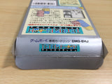 UE9325 Tetris Flash BOXED GameBoy Game Boy Japan
