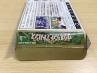 UE9336 Wario Land Advance Mario BOXED GameBoy Advance Japan
