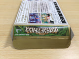 UE9336 Wario Land Advance Mario BOXED GameBoy Advance Japan
