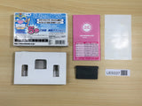 UE9337 Made in Wario Mario BOXED GameBoy Advance Japan