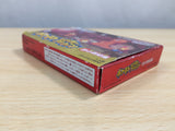 UE9339 Pokemon Mystery Dungeon Red Rescue Team BOXED GameBoy Advance Japan