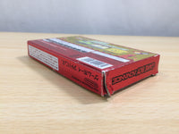 UE9339 Pokemon Mystery Dungeon Red Rescue Team BOXED GameBoy Advance Japan