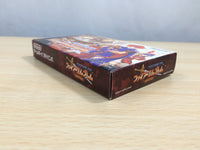 UE9343 Fire Emblem Fuuin no Tsurugi BOXED GameBoy Advance Japan