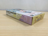 UE9405 3x3 Eyes Seima Kourinden BOXED SNES Super Famicom Japan