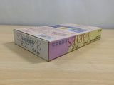UE9405 3x3 Eyes Seima Kourinden BOXED SNES Super Famicom Japan