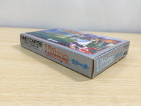 UE9461 Ultima Seija eno Michi BOXED NES Famicom Japan