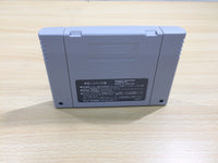 UE9509 Super Drakkhen Dragon View BOXED SNES Super Famicom Japan