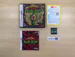UE9614 Freshly Picked Tingle's Rosy Rupeeland BOXED Nintendo DS Japan