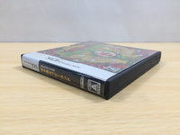 UE9614 Freshly Picked Tingle's Rosy Rupeeland BOXED Nintendo DS Japan