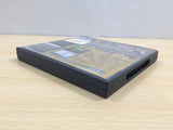 UE9614 Freshly Picked Tingle's Rosy Rupeeland BOXED Nintendo DS Japan