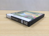 UE9615 Tinker Bell BOXED Nintendo DS Japan