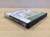 UE9621 Chibi-Robo Park Patrol BOXED Nintendo DS Japan