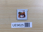 UE9625 Super Mario 3D Land Nintendo 3DS Japan