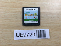 UE9720 Animal Crossing Wild World Nintendo DS Japan