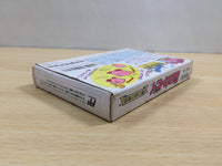 UF1019 Kirby Kirby's Adventure BOXED NES Famicom Japan