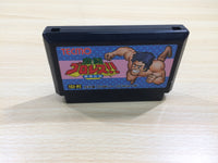 UF1029 Gekitou Pro Wrestling BOXED NES Famicom Japan