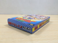 UF1029 Gekitou Pro Wrestling BOXED NES Famicom Japan