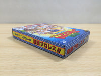 UF1029 Gekitou Pro Wrestling BOXED NES Famicom Japan