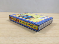 UF1029 Gekitou Pro Wrestling BOXED NES Famicom Japan