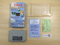 UF1087 Super Puyo Puyo BOXED SNES Super Famicom Japan