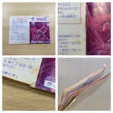 UF1106 Castlevania The Adventure BOXED GameBoy Game Boy Japan