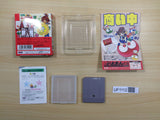 UF1112 Puyo Puyo Tsu 2 BOXED GameBoy Game Boy Japan