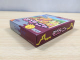 UF1120 Mole Mania BOXED GameBoy Game Boy Japan
