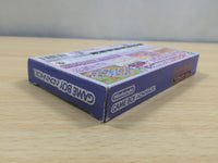 UF1138 Magical Vacation BOXED GameBoy Advance Japan