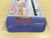 UF1138 Magical Vacation BOXED GameBoy Advance Japan