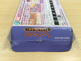 UF1138 Magical Vacation BOXED GameBoy Advance Japan