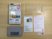 UF1166 Silva Saga 2 The Legend of Light&Darkness BOXED SNES Super Famicom Japan