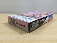 UF1169 Kabuki Rocks BOXED SNES Super Famicom Japan